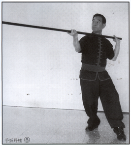 Master Frank Yee - Fifth Brother Eight Trigram Pole - Blowing the Flute Pole